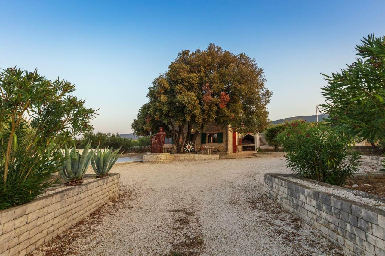 Villa Dubrava Tranquil Retreat Nestled In An Olive Grove For Serene Escapes Пучишча Екстериор снимка